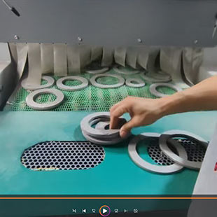 浙江客户案例：不锈钢磁环输送式自动喷砂机工作视频